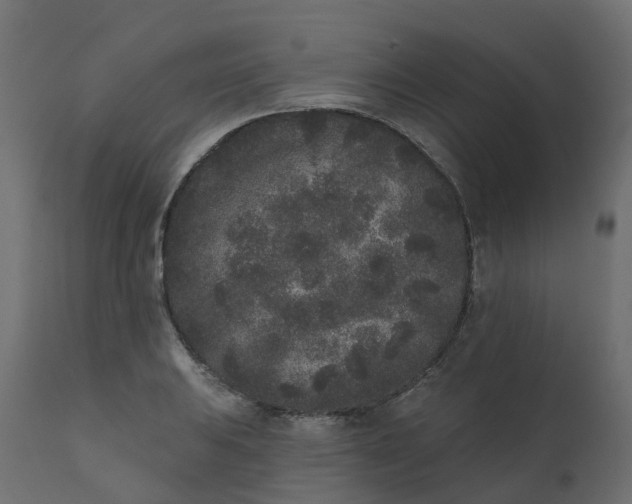 X0000110721031200906261451