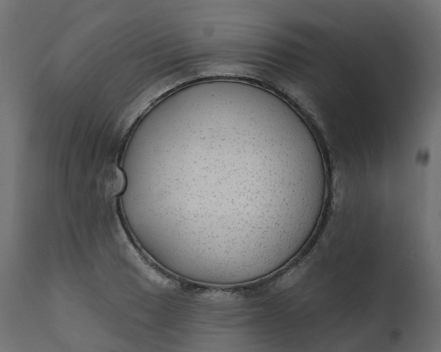 X0000110721033200906261451