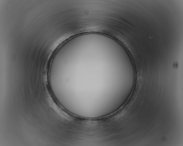 X0000110721034200906261451