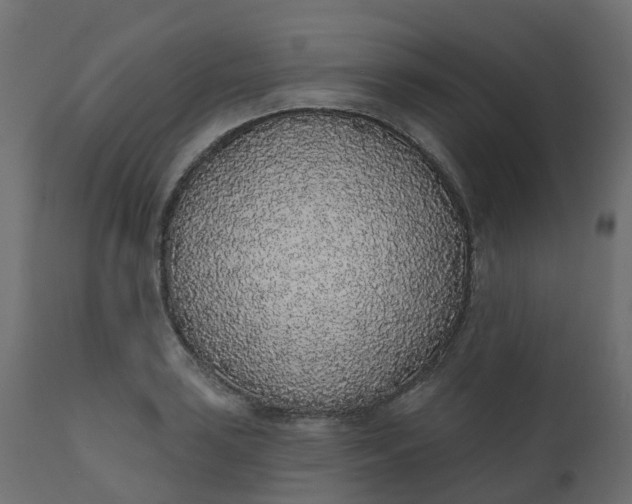 X0000110721035200906261451