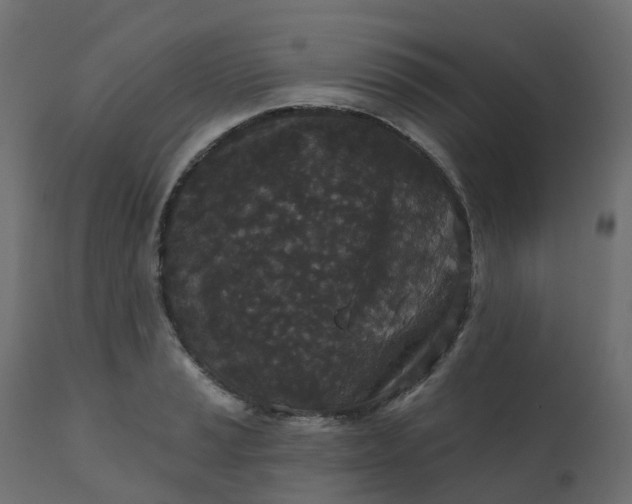 X0000110721037200906261451