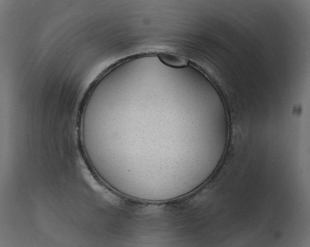 X0000110721038200906261451