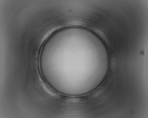 X0000110721039200906261451