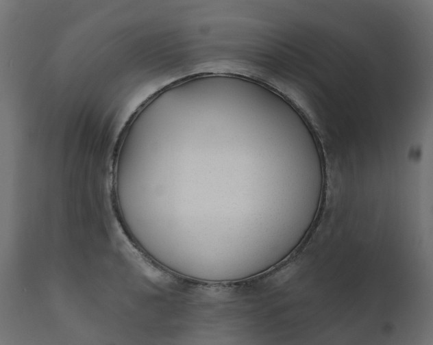 X0000110721040200906261451