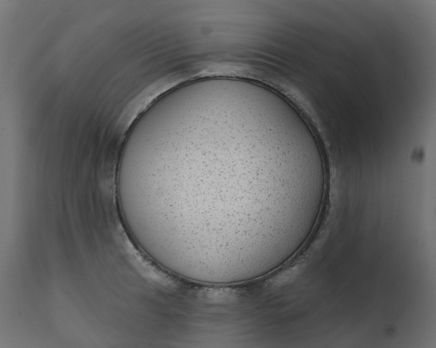 X0000110721041200906261451