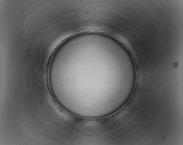 X0000110721043200906261451