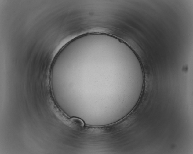 X0000110721044200906261451