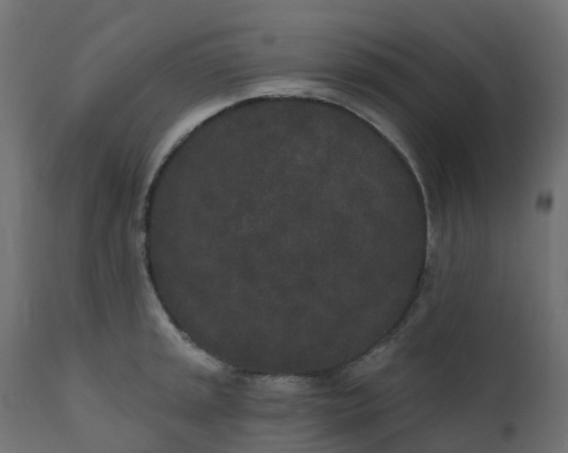 X0000110721045200906261451