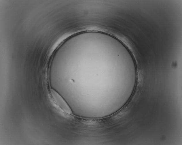 X0000110721048200906261451