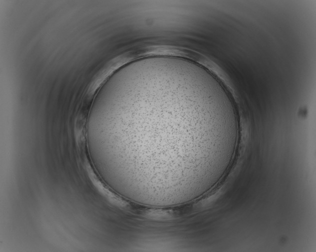 X0000110721049200906261451