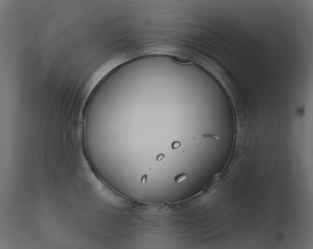 X0000110721050200906261451