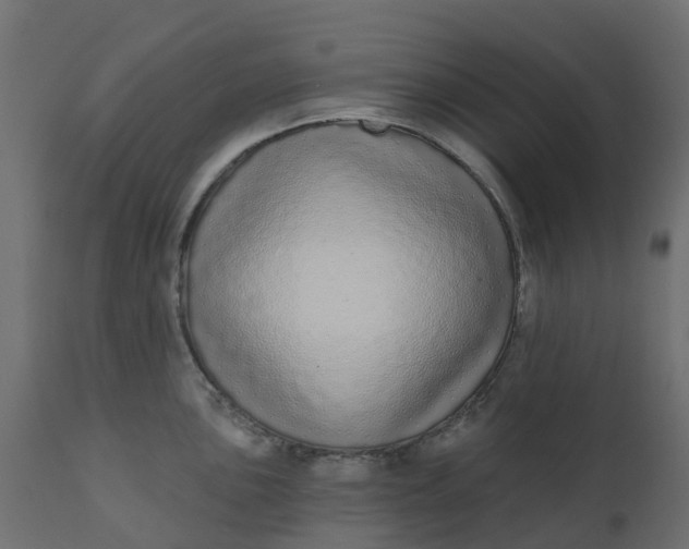 X0000110721051200906261451