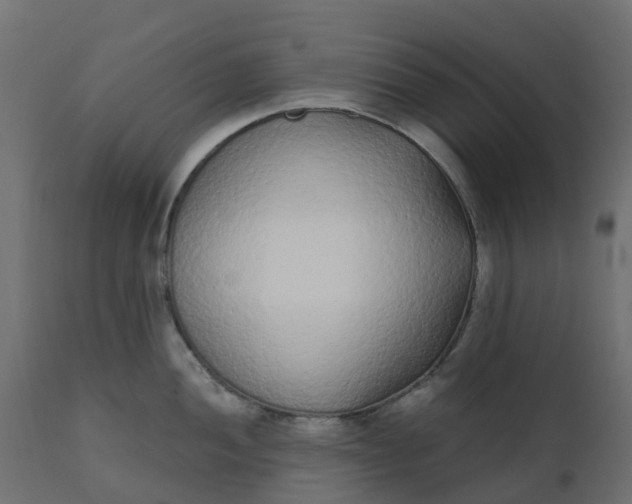 X0000110721052200906261451