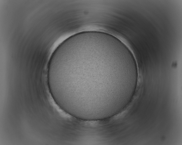 X0000110721053200906261451