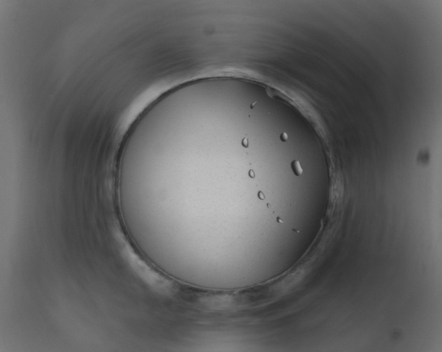 X0000110721054200906261451