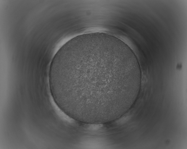 X0000110721055200906261451