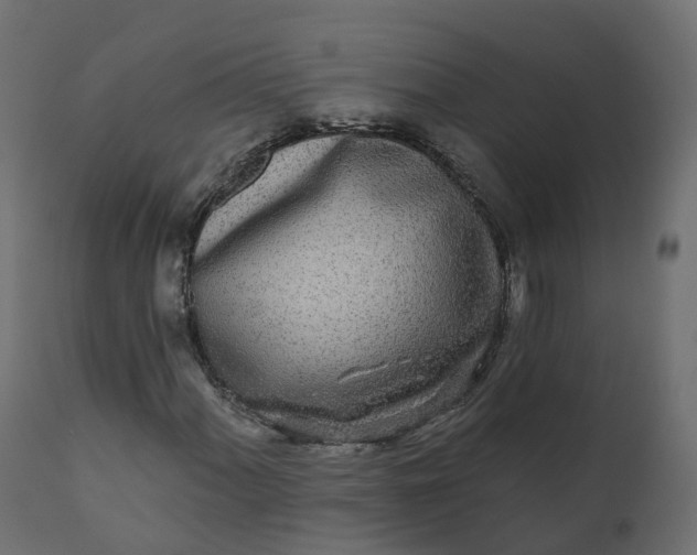 X0000110721060200906261450