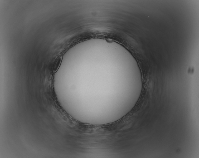 X0000110721061200906261450