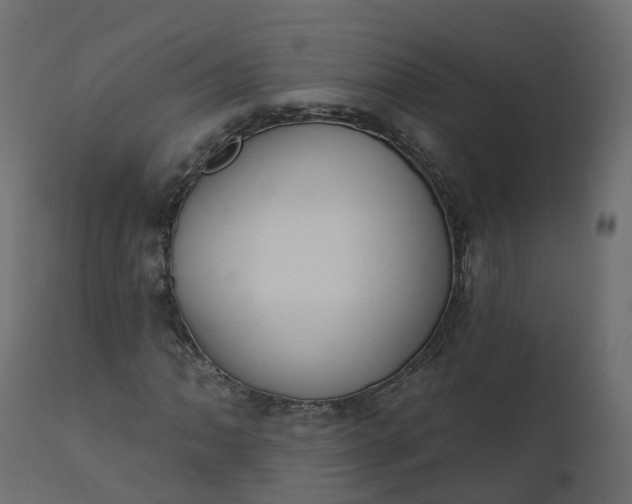 X0000110721062200906261450