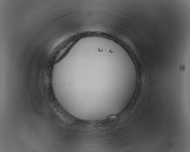 X0000110721064200906261450