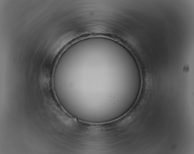 X0000110721065200906261450