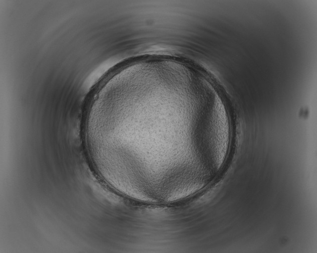 X0000110721066200906261450