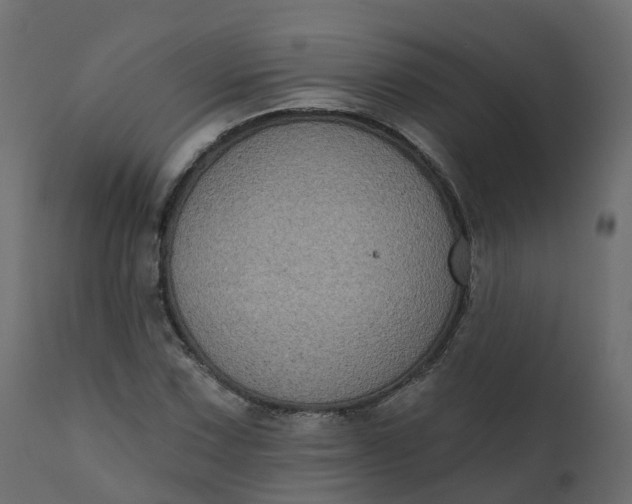 X0000110721067200906261450