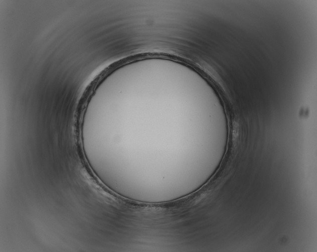 X0000110721068200906261450