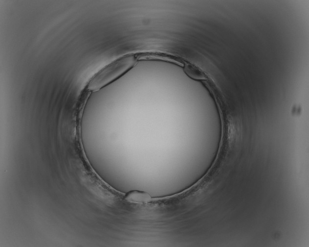 X0000110721069200906261450