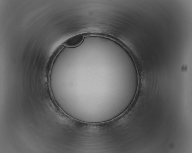 X0000110721070200906261450