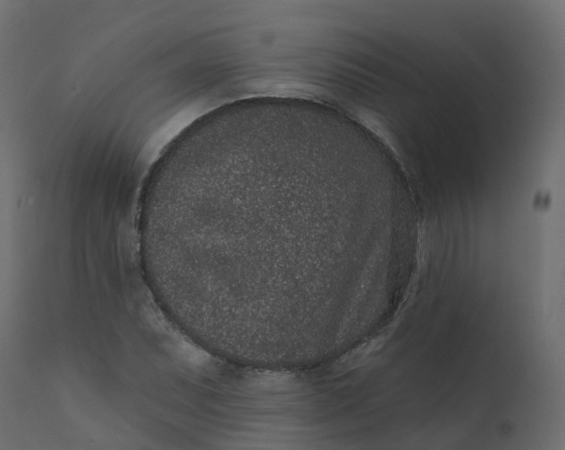 X0000110721071200906261450