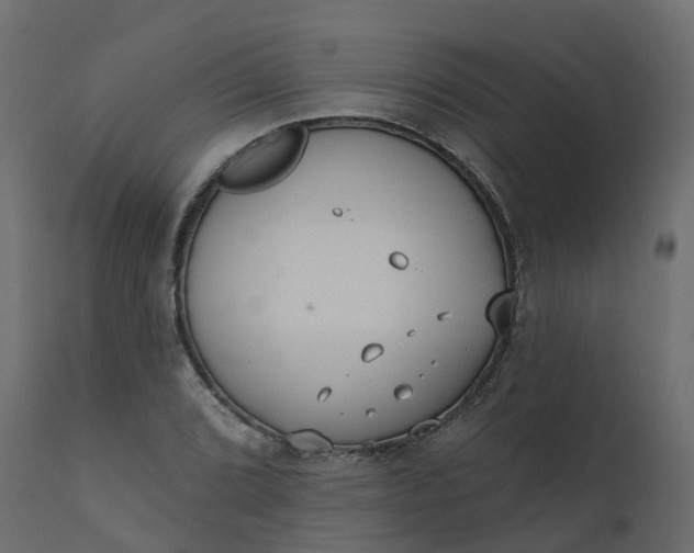 X0000110721072200906261450