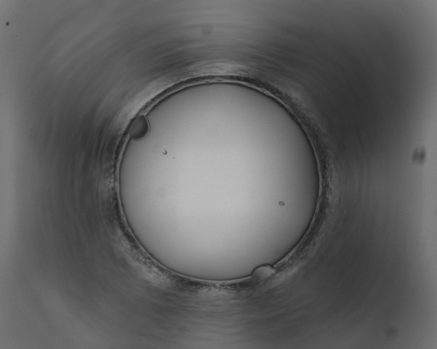 X0000110721073200906261450