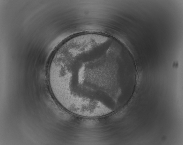 X0000110721074200906261450