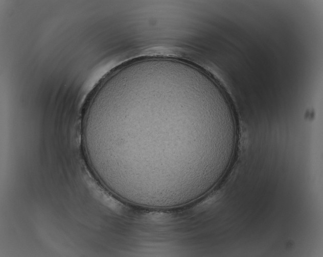 X0000110721075200906261450