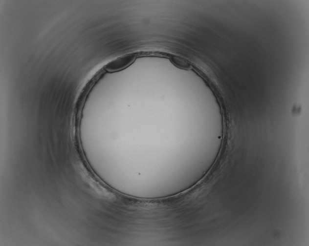 X0000110721076200906261450