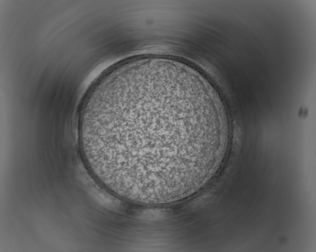 X0000110721078200906261450