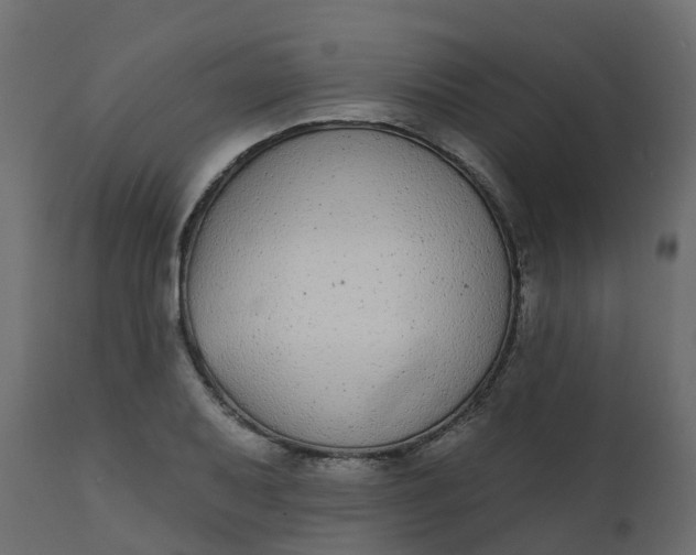 X0000110721079200906261450