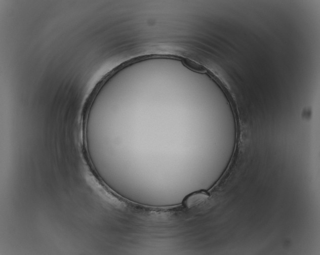 X0000110721080200906261450