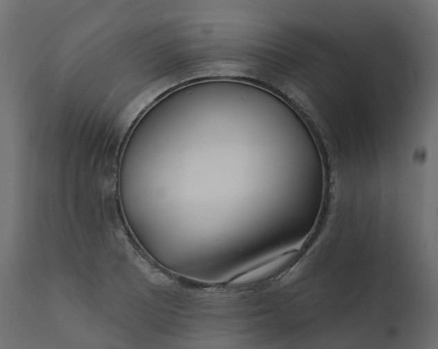 X0000110721081200906261450