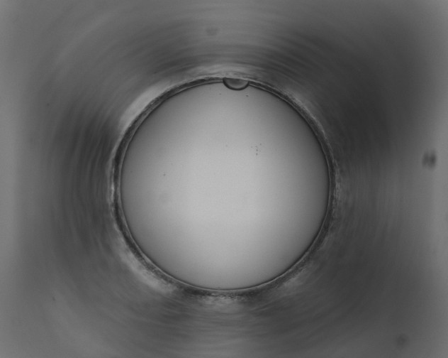 X0000110721082200906261450