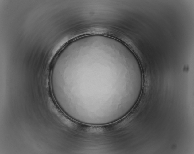 X0000110721083200906261450