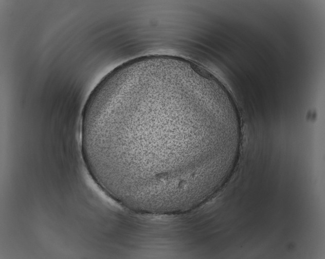 X0000110721084200906261450