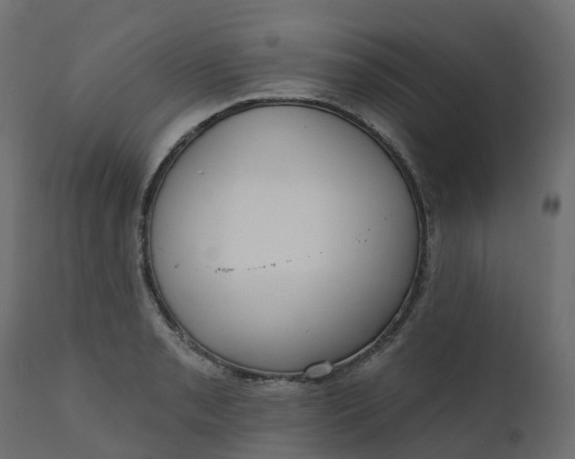 X0000110721085200906261450