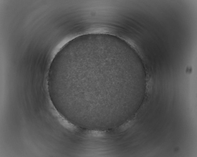 X0000110721086200906261450