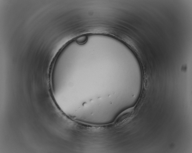 X0000110721087200906261450