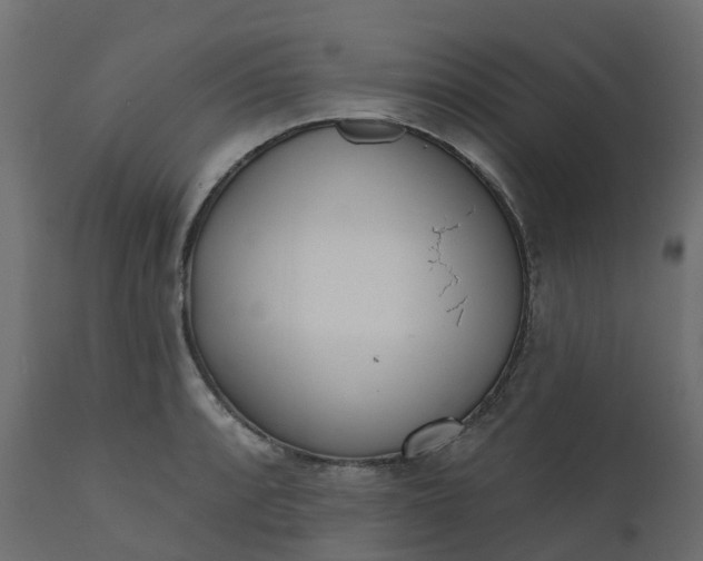 X0000110721088200906261450