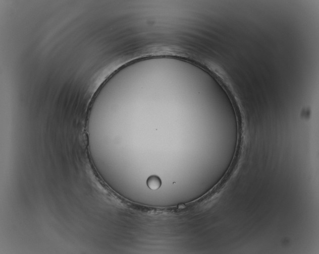 X0000110721089200906261450