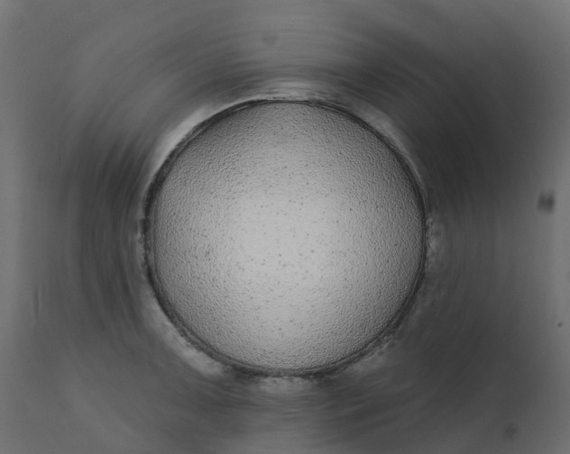 X0000110721091200906261450