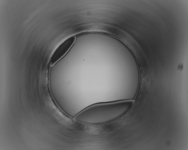 X0000110721092200906261450